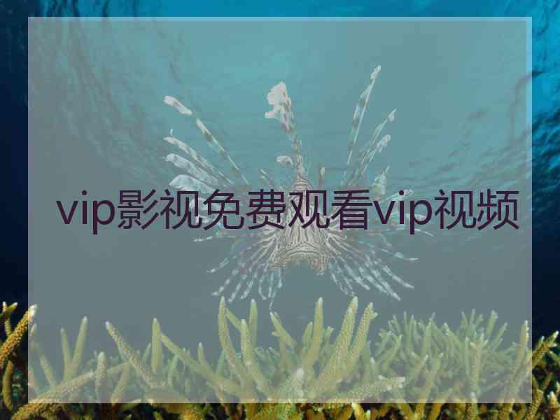 vip影视免费观看vip视频