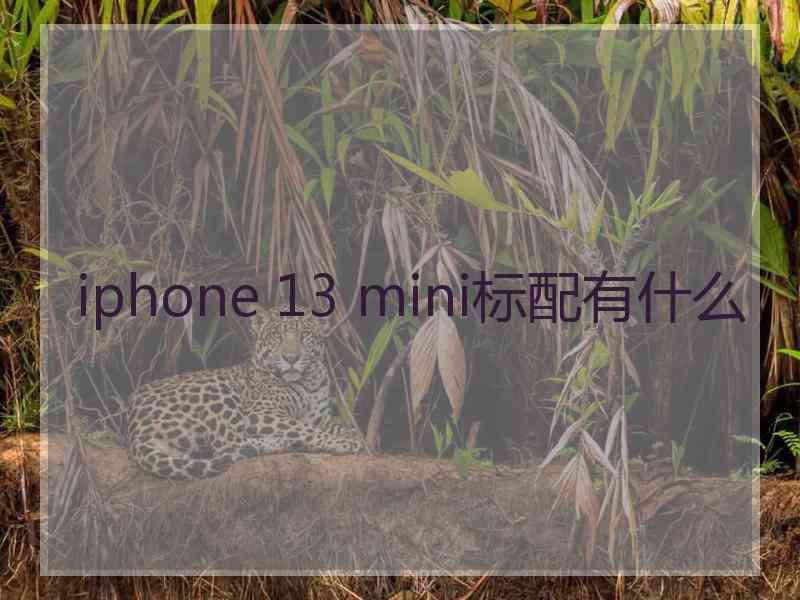 iphone 13 mini标配有什么