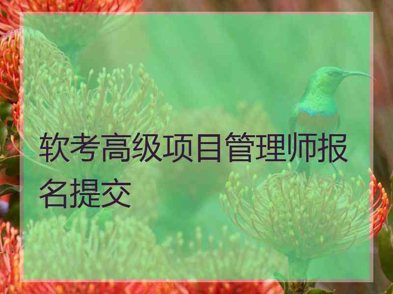 软考高级项目管理师报名提交