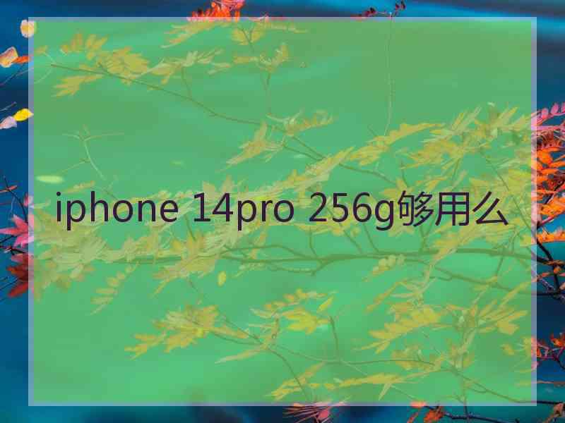 iphone 14pro 256g够用么