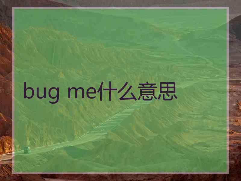 bug me什么意思