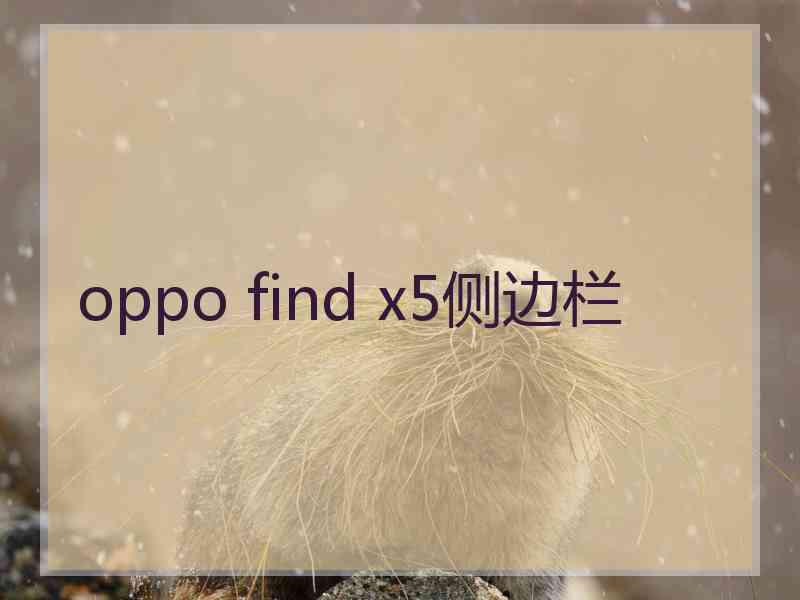 oppo find x5侧边栏