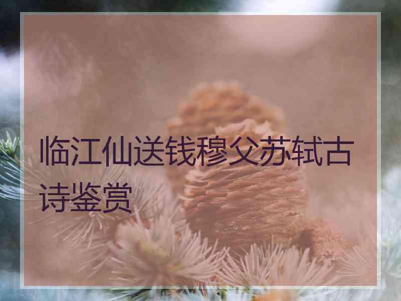 临江仙送钱穆父苏轼古诗鉴赏