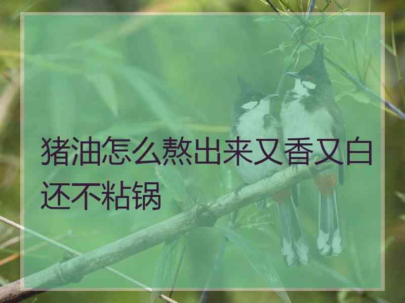 猪油怎么熬出来又香又白还不粘锅