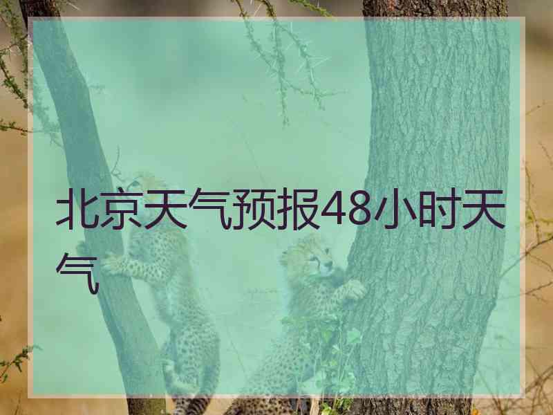 北京天气预报48小时天气