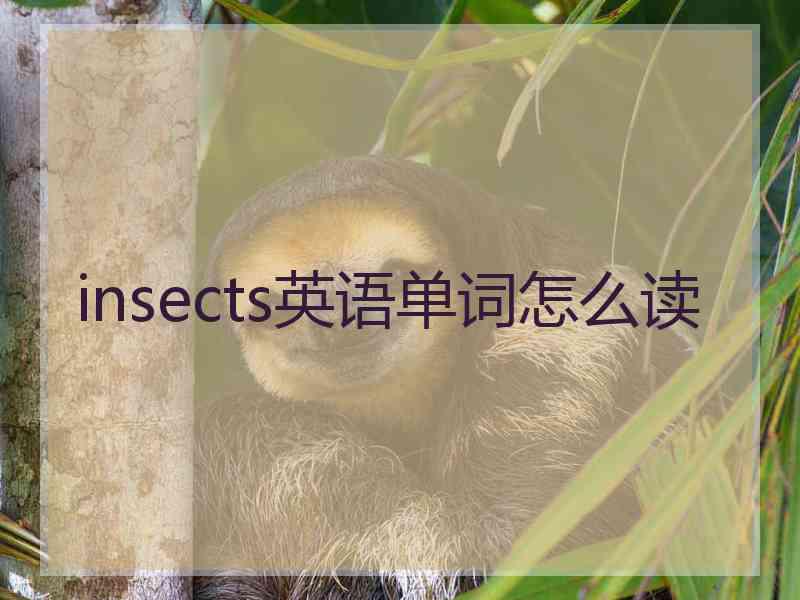 insects英语单词怎么读