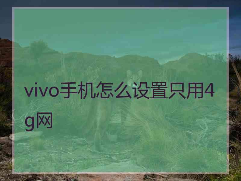 vivo手机怎么设置只用4g网