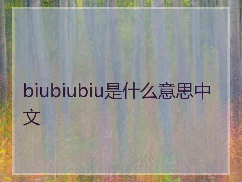 biubiubiu是什么意思中文