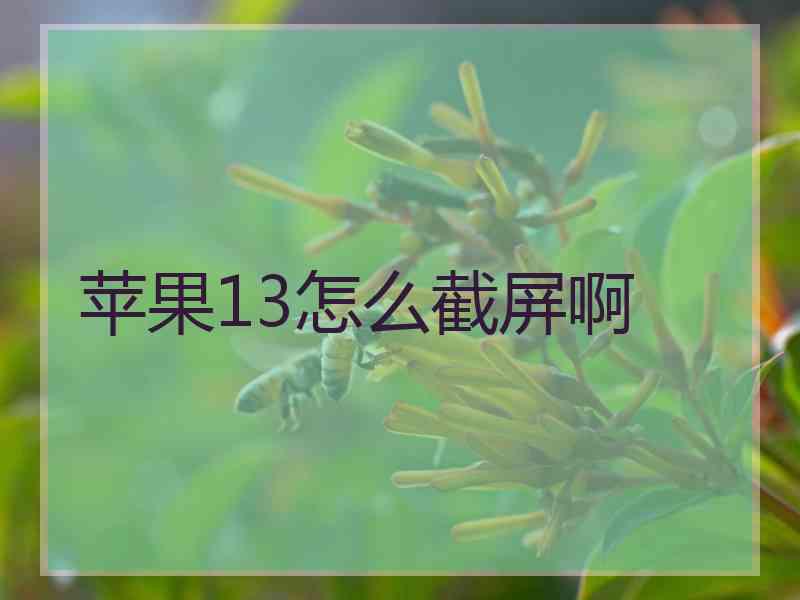 苹果13怎么截屏啊