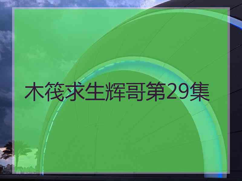 木筏求生辉哥第29集