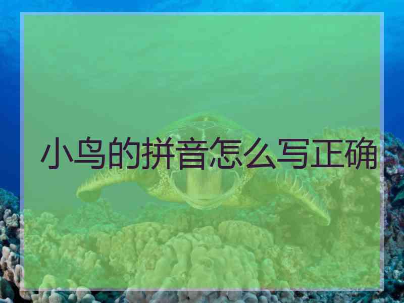 小鸟的拼音怎么写正确