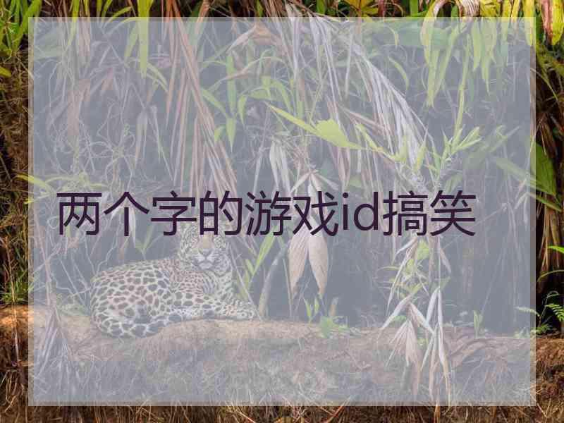 两个字的游戏id搞笑