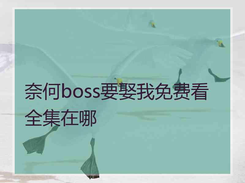 奈何boss要娶我免费看全集在哪