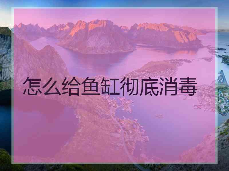 怎么给鱼缸彻底消毒