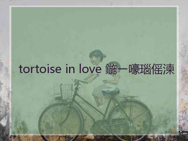 tortoise in love 鍦ㄧ嚎瑙傜湅