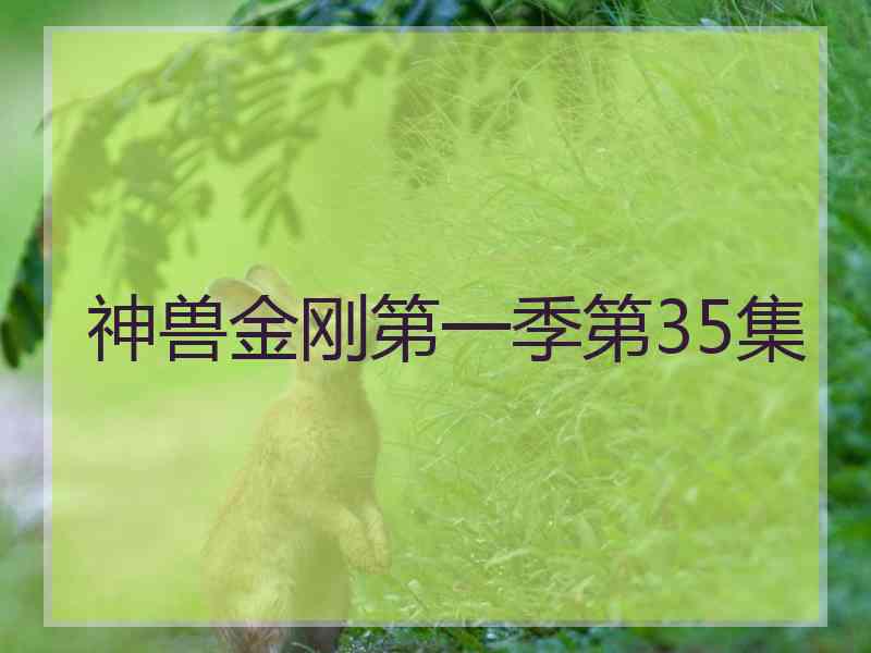 神兽金刚第一季第35集