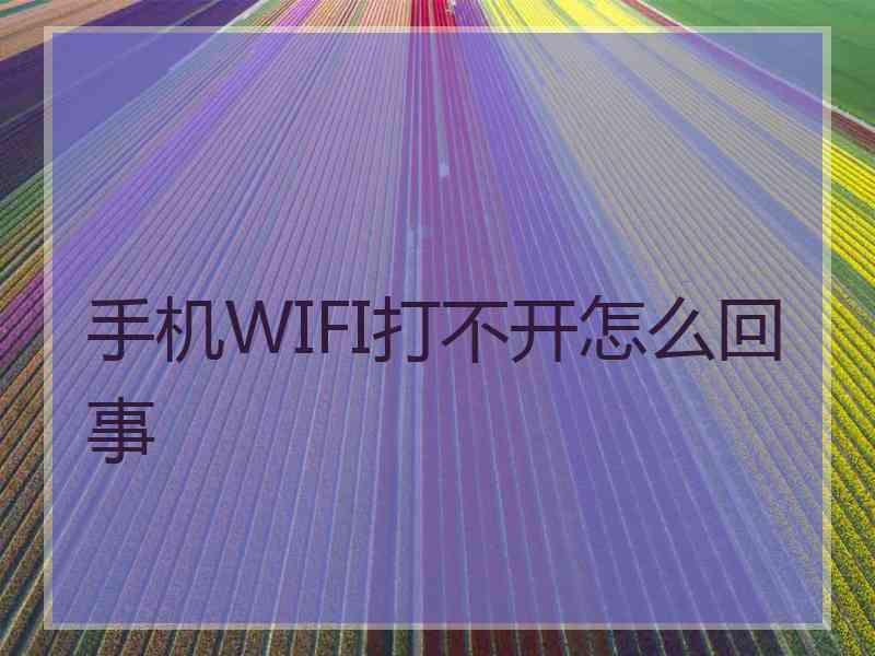 手机WIFI打不开怎么回事