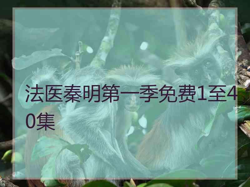 法医秦明第一季免费1至40集