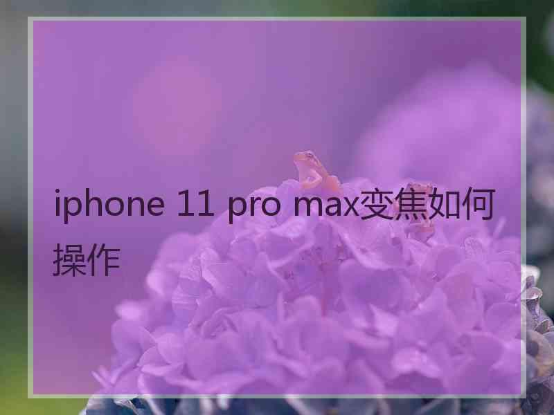 iphone 11 pro max变焦如何操作