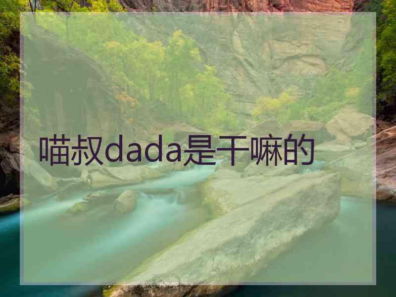 喵叔dada是干嘛的