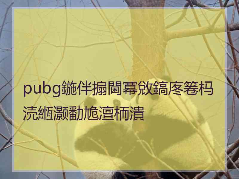 pubg鍦伴搧閫冪敓鎬庝箞杩涜緪灏勫尯澶栭潰