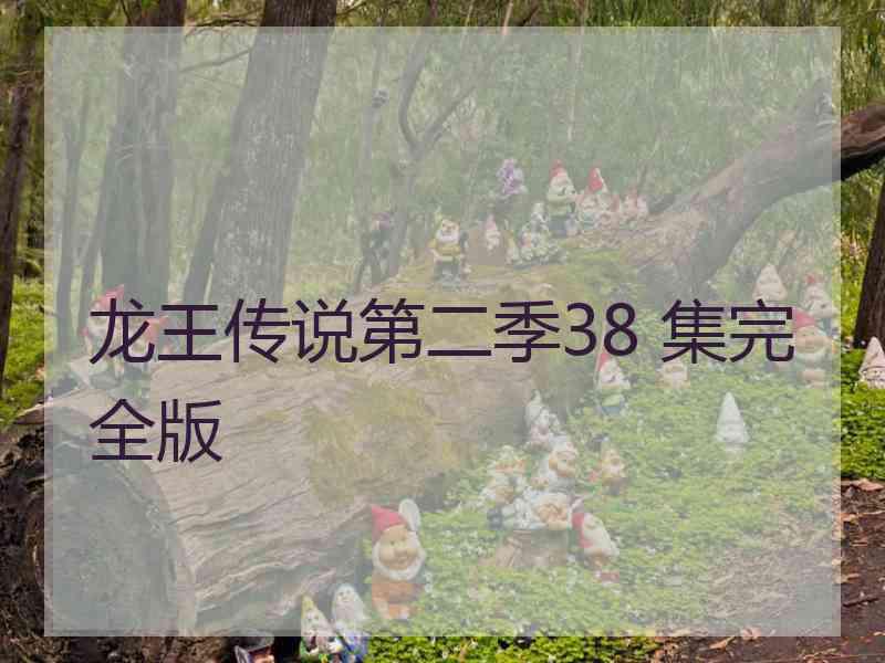 龙王传说第二季38 集完全版