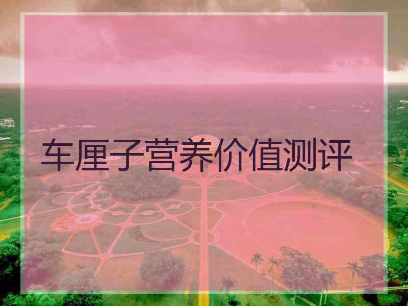 车厘子营养价值测评