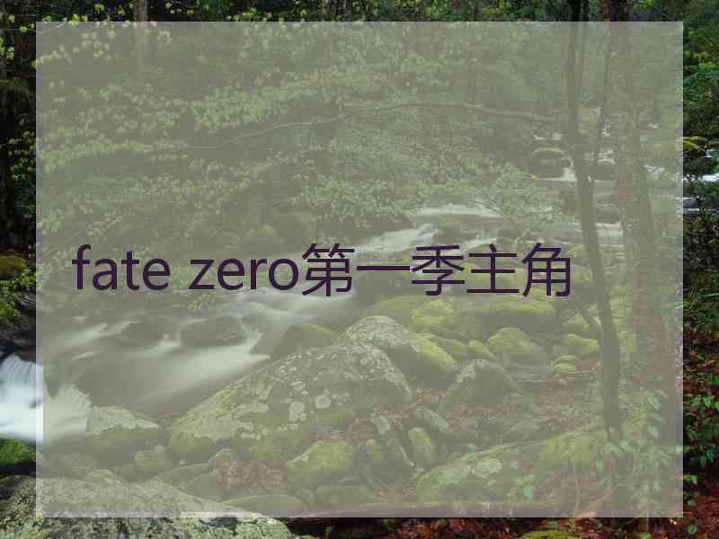 fate zero第一季主角