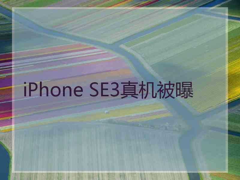 iPhone SE3真机被曝