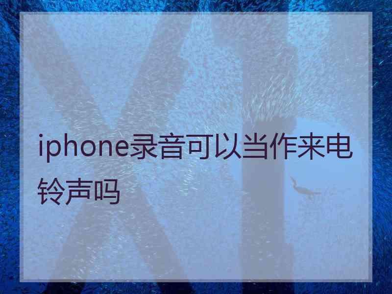 iphone录音可以当作来电铃声吗