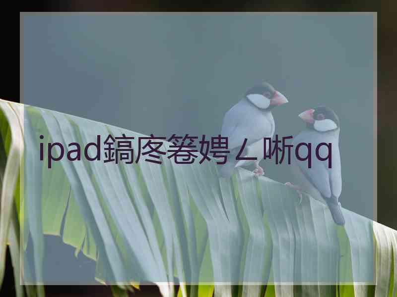 ipad鎬庝箞娉ㄥ唽qq