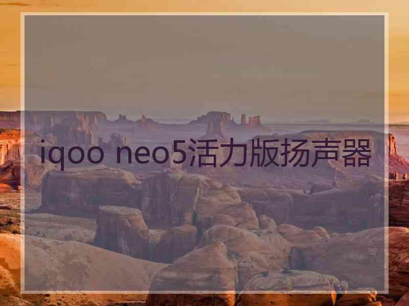 iqoo neo5活力版扬声器