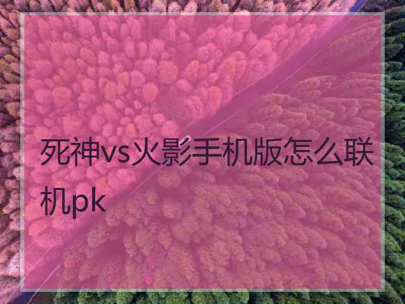 死神vs火影手机版怎么联机pk