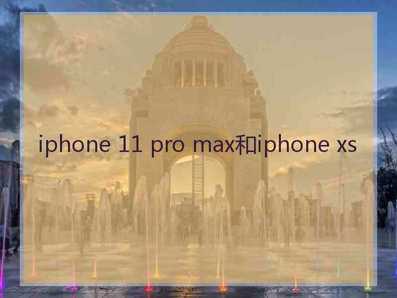 iphone 11 pro max和iphone xs