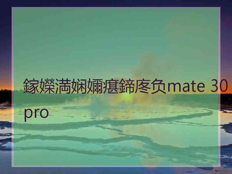 鎵嬫満娴嬭瘎鍗庝负mate 30pro