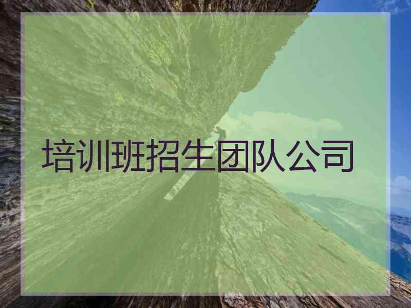 培训班招生团队公司