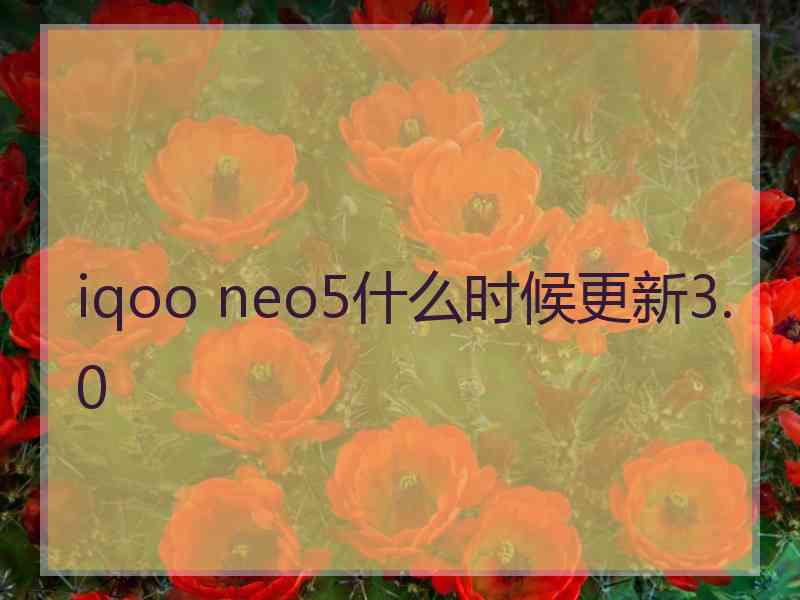 iqoo neo5什么时候更新3.0