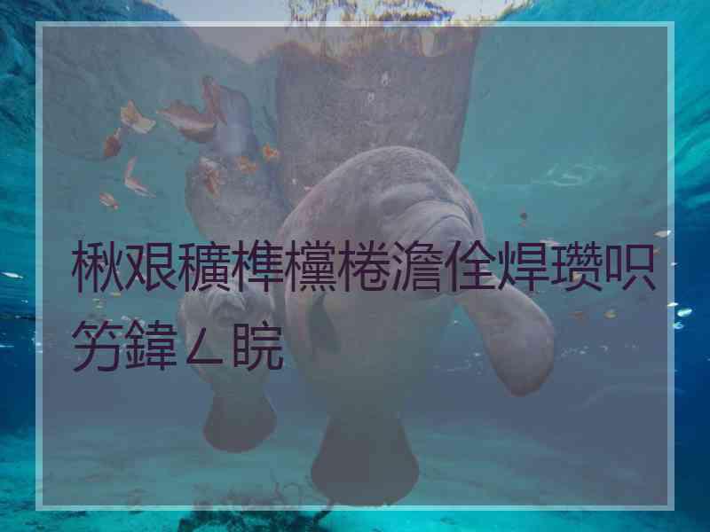 楸艰穬榫欓棬澹佺焊瓒呮竻鍏ㄥ睆