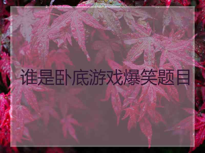 谁是卧底游戏爆笑题目