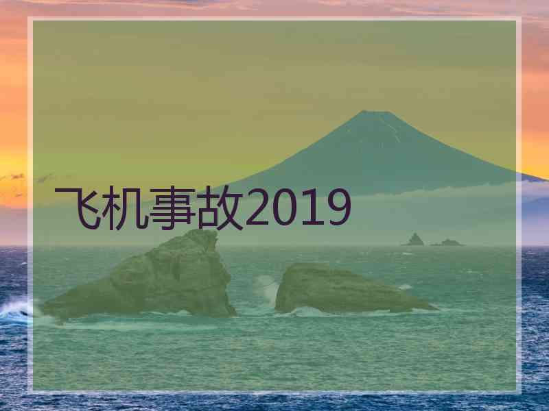 飞机事故2019