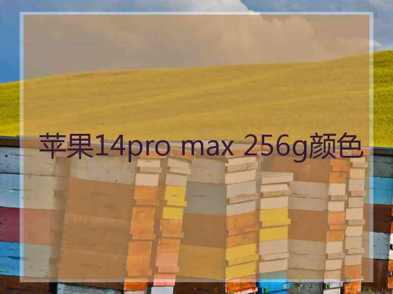 苹果14pro max 256g颜色