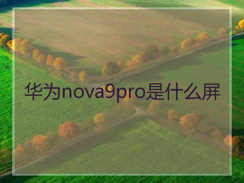 华为nova9pro是什么屏