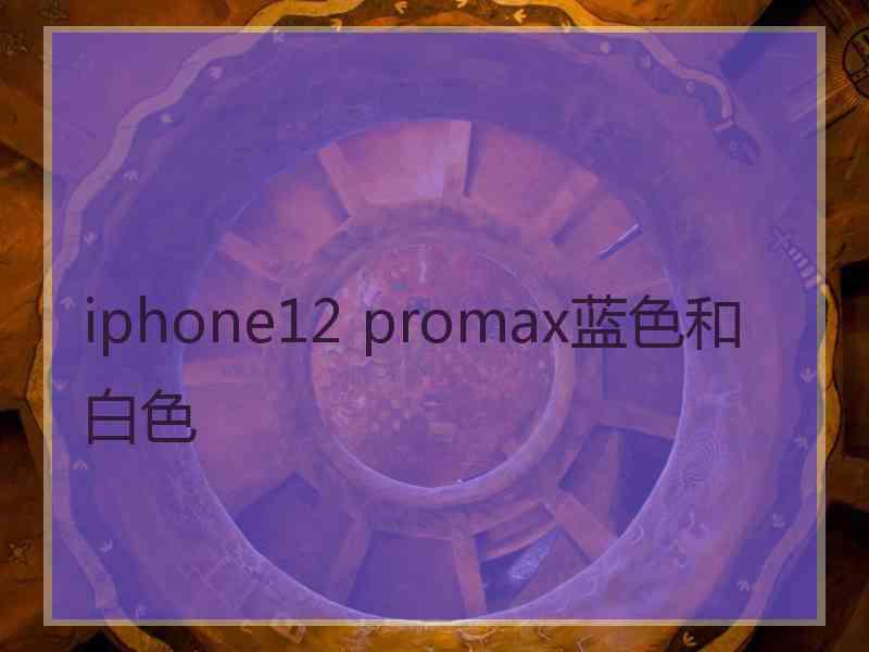 iphone12 promax蓝色和白色