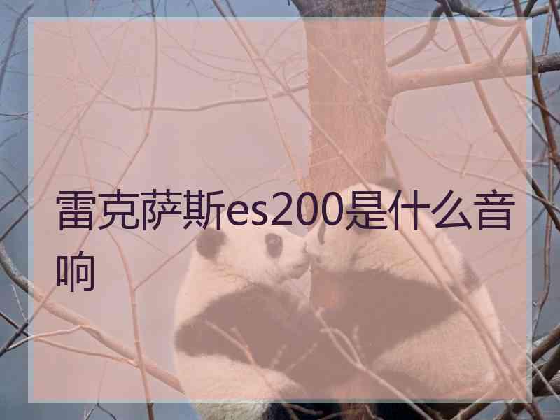 雷克萨斯es200是什么音响