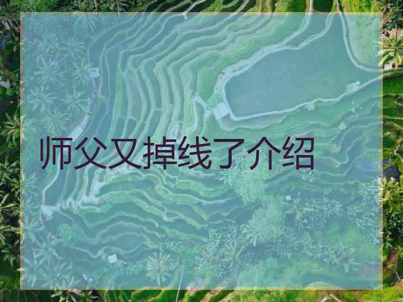 师父又掉线了介绍