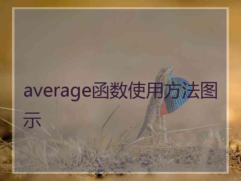 average函数使用方法图示