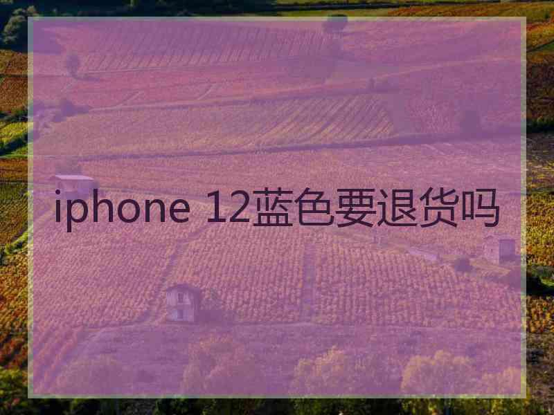 iphone 12蓝色要退货吗