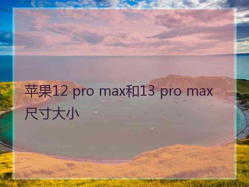 苹果12 pro max和13 pro max尺寸大小