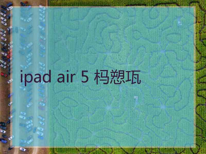 ipad air 5 杩愬瓨