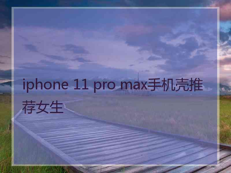 iphone 11 pro max手机壳推荐女生